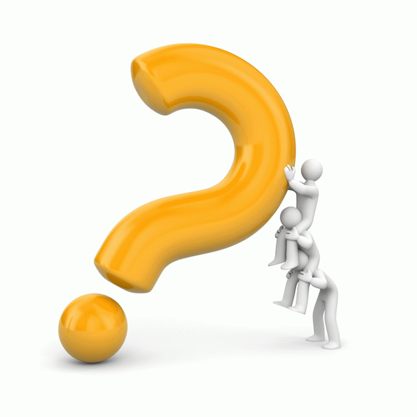 19 نکته برای محافظت از گربه باردار و بچه گربه هایش در هنگام زایمان