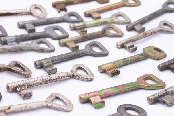 ۱۵ نکته کلیدی مشاوره آنلاین دامپزشکی برای حیوانات خانگی شما