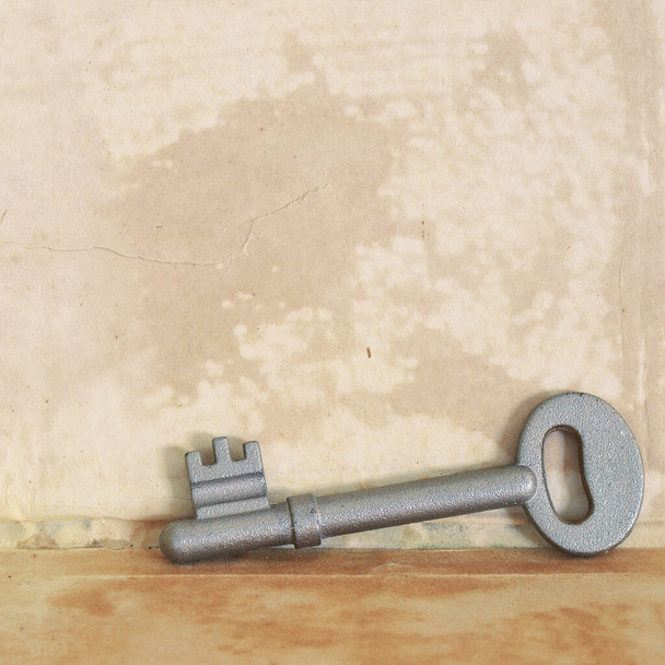 19 نکته حیاتی برای مراقبت از دندان‌های گربه