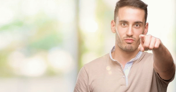 17 نکته شگفت‌انگیز درباره گربه سیامی: رازهای این نژاد دوست‌داشتنی